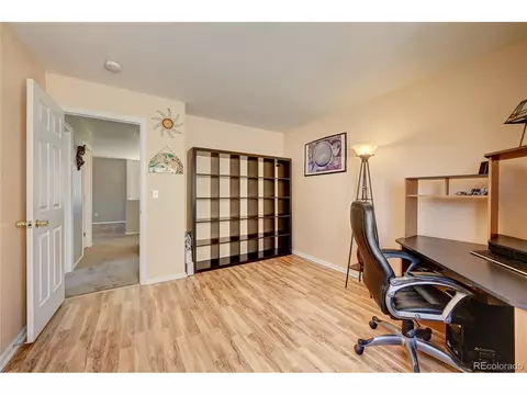 4039 Argonne St, Denver, CO 80249 photo 25
