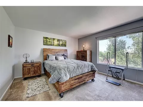 4039 Argonne St, Denver, CO 80249 photo 18