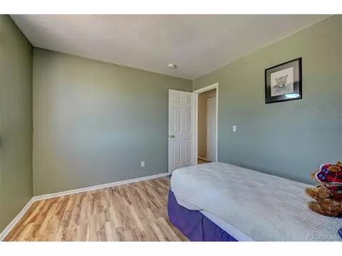 4039 Argonne St, Denver, CO 80249 photo 23