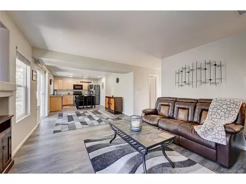 4039 Argonne St, Denver, CO 80249 photo 9