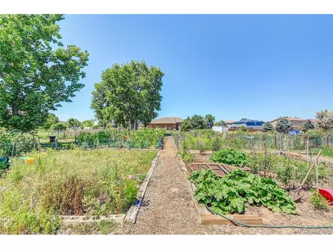 4039 Argonne St, Denver, CO 80249 photo 33