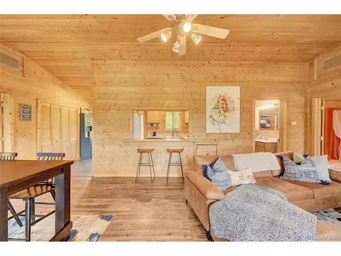 174 Saddlestring Rd, Bailey, CO 80421 photo 5