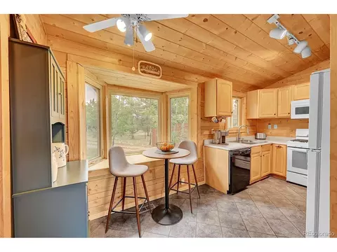 174 Saddlestring Rd, Bailey, CO 80421 photo 6