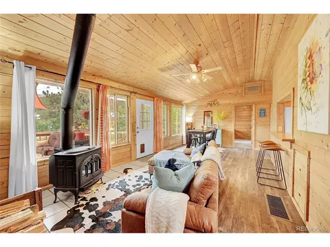 174 Saddlestring Rd, Bailey, CO 80421 photo 4