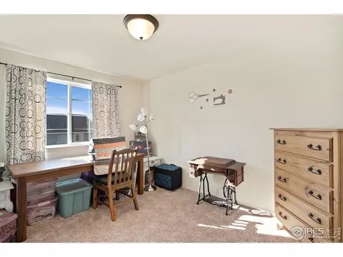 3454 Godwit Dr, Berthoud, CO 80513 photo 19