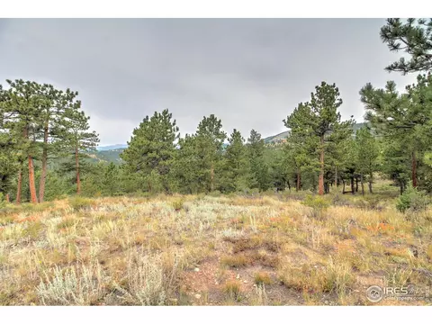 6185 Sugarloaf Rd, Boulder, CO 80302 photo 10