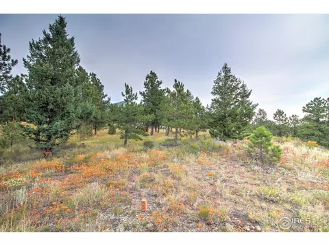 6185 Sugarloaf Rd, Boulder, CO 80302 photo 5
