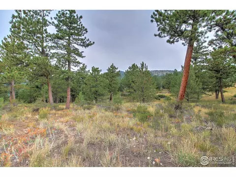 6185 Sugarloaf Rd, Boulder, CO 80302 photo 11