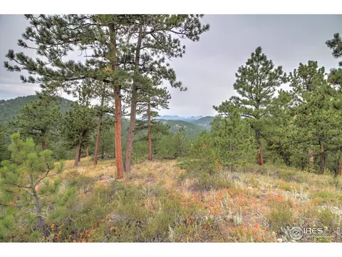 6185 Sugarloaf Rd, Boulder, CO 80302 photo 9