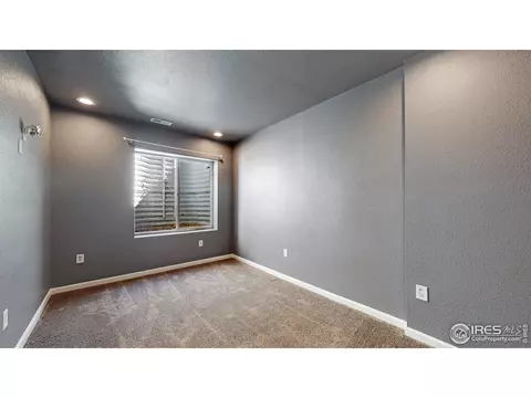 135 Beluga Dr, Windsor, CO 80550 photo 32