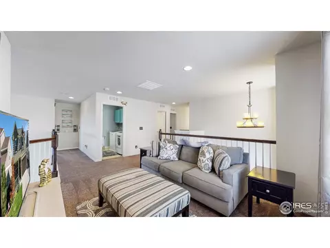 135 Beluga Dr, Windsor, CO 80550 photo 26