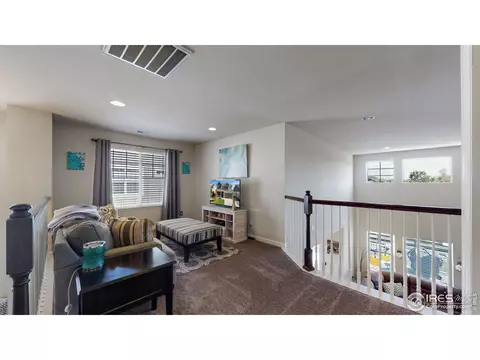 135 Beluga Dr, Windsor, CO 80550 photo 25