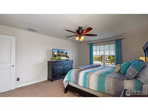 135 Beluga Dr, Windsor, CO 80550 photo 21