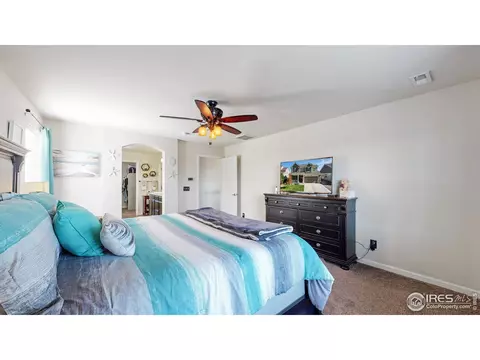 135 Beluga Dr, Windsor, CO 80550 photo 20