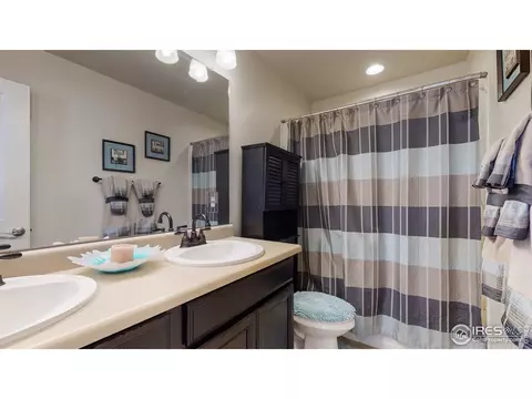 135 Beluga Dr, Windsor, CO 80550 photo 29