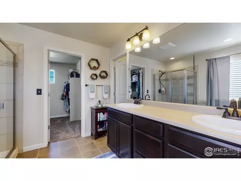 135 Beluga Dr, Windsor, CO 80550 photo 22