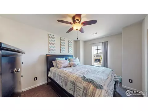 135 Beluga Dr, Windsor, CO 80550 photo 28