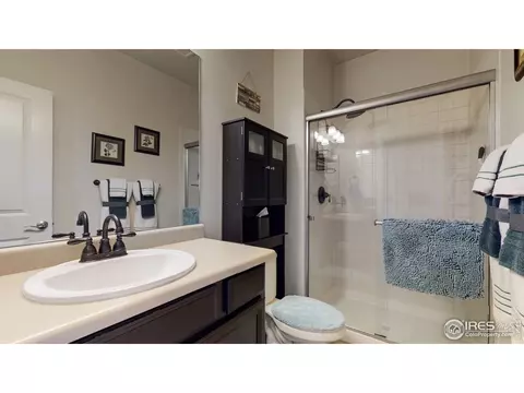 135 Beluga Dr, Windsor, CO 80550 photo 18
