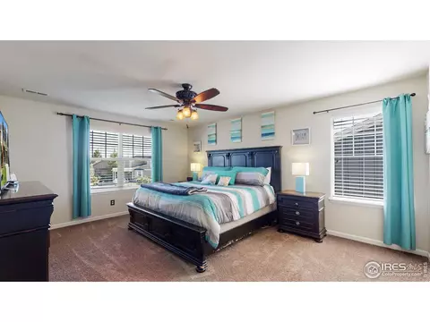 135 Beluga Dr, Windsor, CO 80550 photo 19