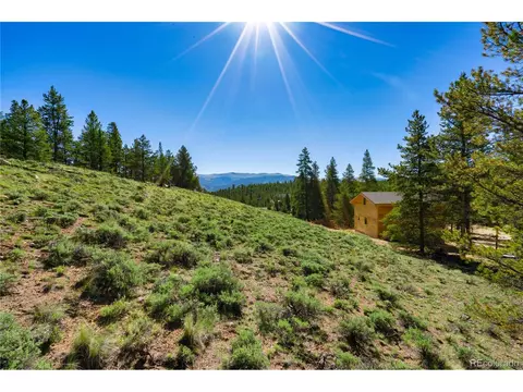 180 Aspen Dr, Twin Lakes, CO 81251
