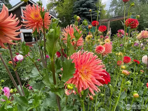 2500 Linden Ave, Boulder, CO 80304 photo 31