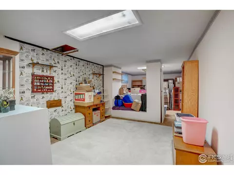 3502 E 117th Pl, Thornton, CO 80233 photo 9