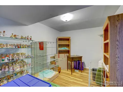 3502 E 117th Pl, Thornton, CO 80233 photo 11