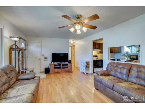 3502 E 117th Pl, Thornton, CO 80233 photo 4