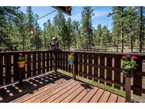 97 Nova Rd, Pine, CO 80470 photo 33