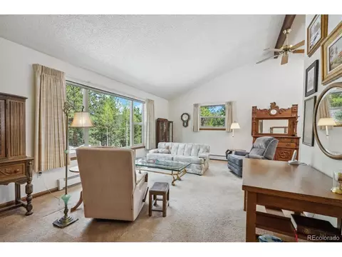 97 Nova Rd, Pine, CO 80470 photo 4