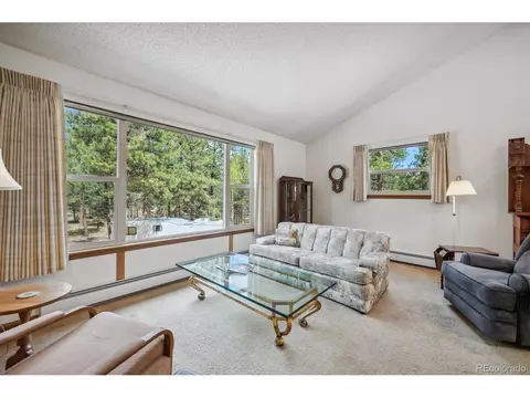 97 Nova Rd, Pine, CO 80470 photo 3