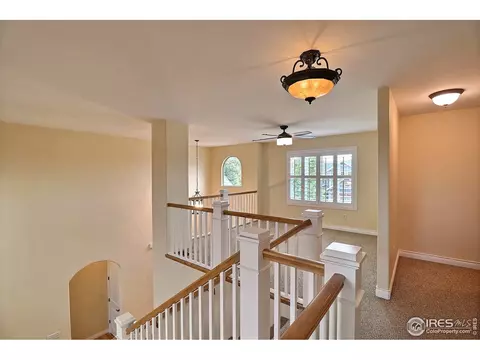 1830 E Seadrift Dr, Windsor, CO 80550 photo 20