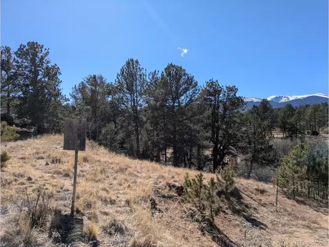 261 Appleby St, Bailey, CO 80421 photo 4