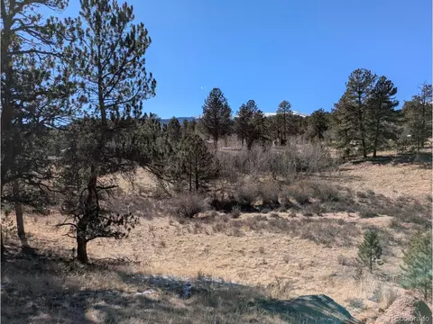261 Appleby St, Bailey, CO 80421 photo 14