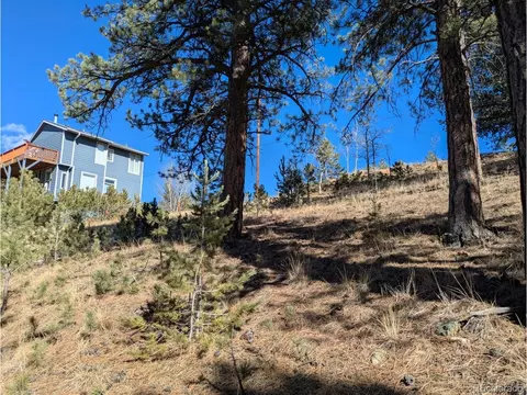 261 Appleby St, Bailey, CO 80421 photo 12