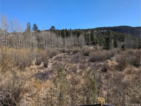261 Appleby St, Bailey, CO 80421 photo 3