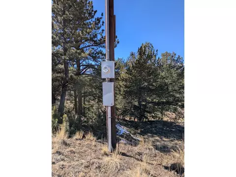261 Appleby St, Bailey, CO 80421 photo 22