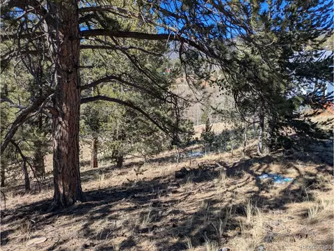 261 Appleby St, Bailey, CO 80421 photo 9