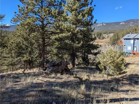 261 Appleby St, Bailey, CO 80421 photo 8