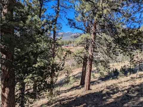 261 Appleby St, Bailey, CO 80421 photo 10