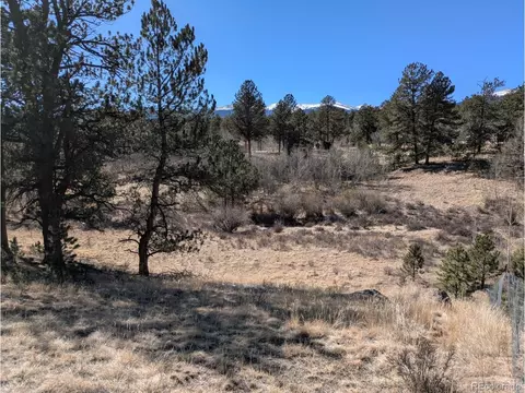 261 Appleby St, Bailey, CO 80421 photo 18