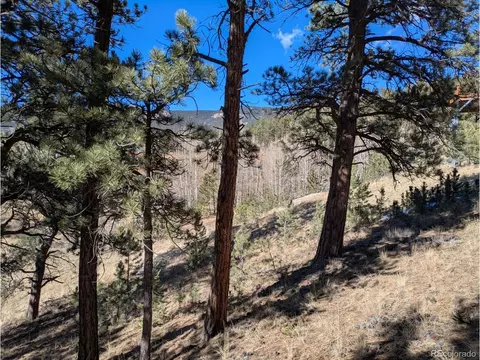 261 Appleby St, Bailey, CO 80421 photo 11