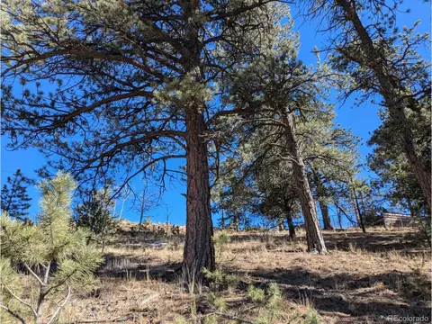 261 Appleby St, Bailey, CO 80421 photo 13
