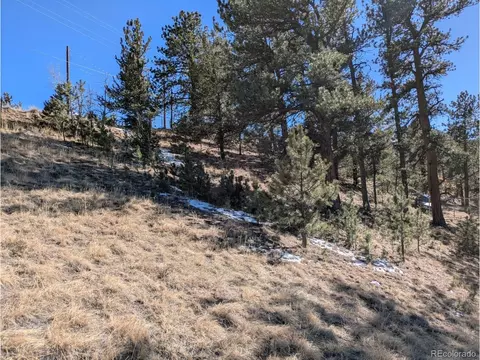 261 Appleby St, Bailey, CO 80421 photo 16