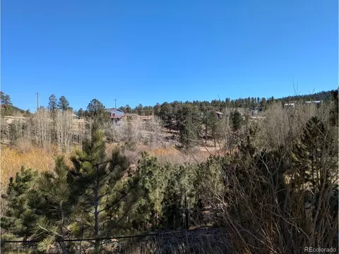 261 Appleby St, Bailey, CO 80421 photo 2