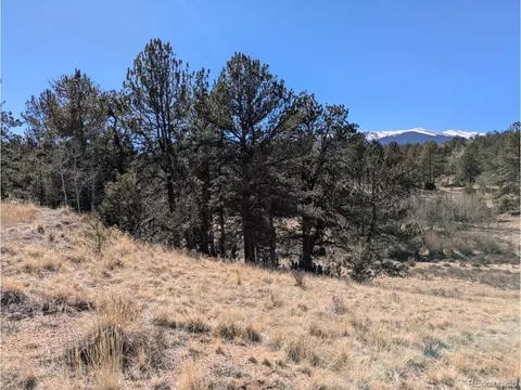 261 Appleby St, Bailey, CO 80421 photo 20