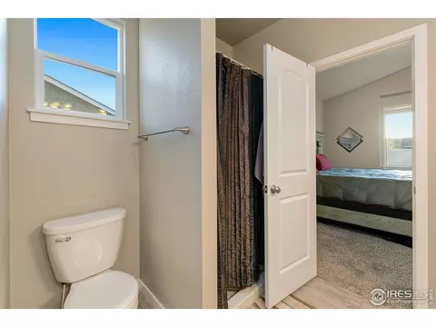 631 Cimarron Trl, Ault, CO 80610 photo 19