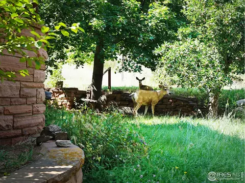 705 Apple Valley Rd, Lyons, CO 80540 photo 36