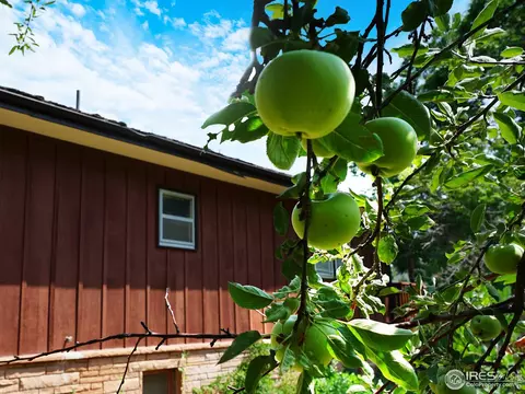 705 Apple Valley Rd, Lyons, CO 80540 photo 5