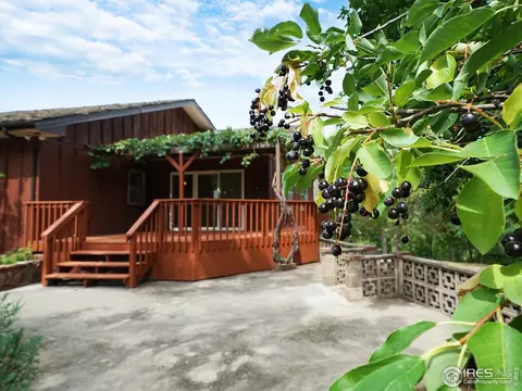 705 Apple Valley Rd, Lyons, CO 80540 photo 2